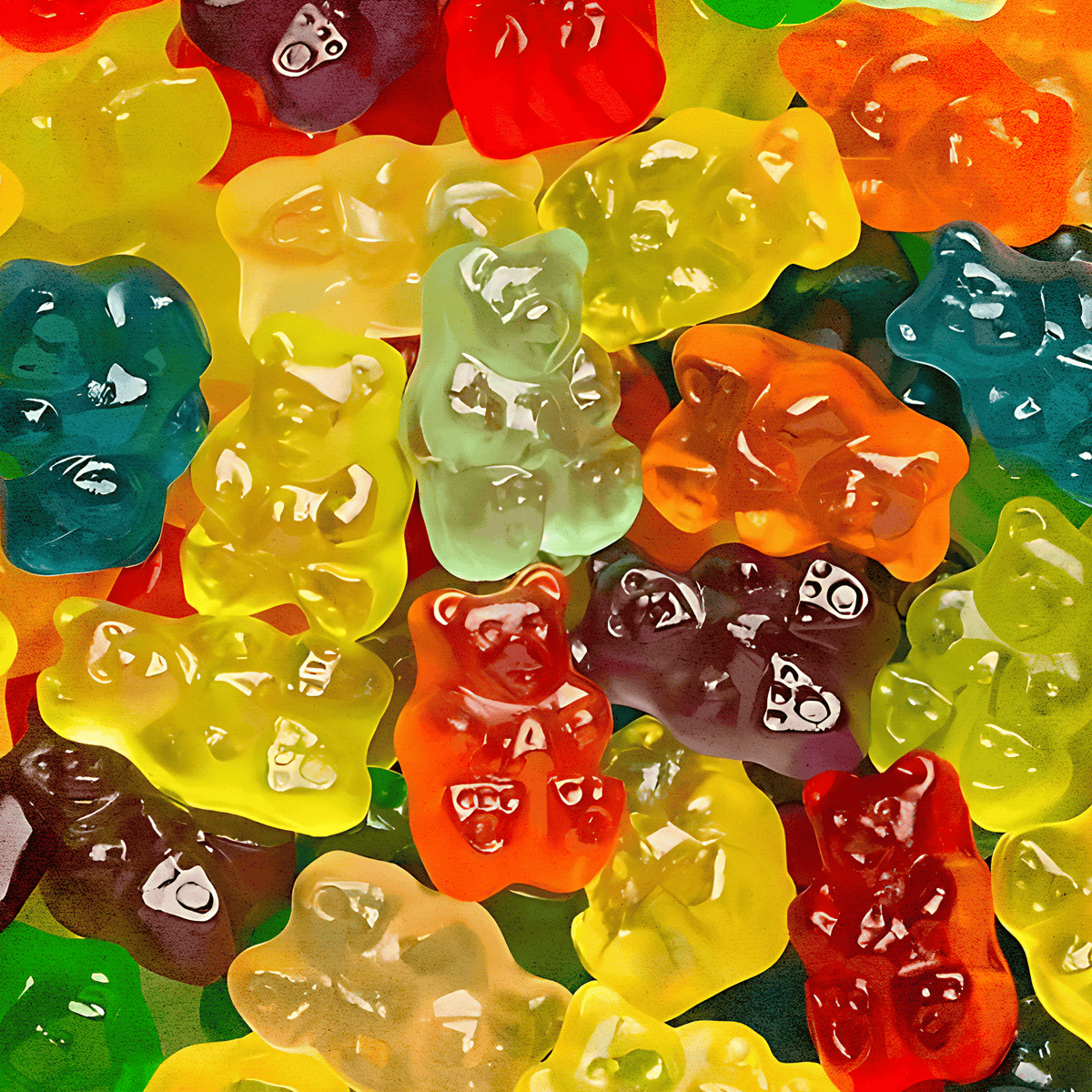 The Sacred Gummy-Gummie Bears candy product photo, alternate view 3 – Duff & Shaw Legendary Snacks